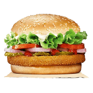 Veg Salad Burger